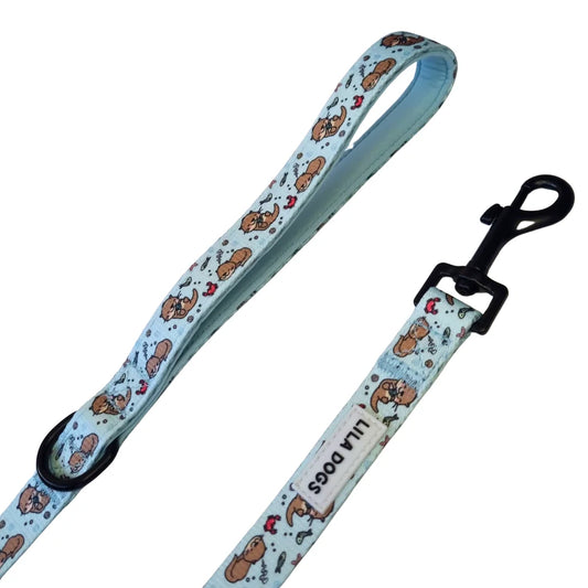 CORREA NYLON NUTRIAS